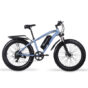 Is it Worth Buying an Electric Mountain Bike?